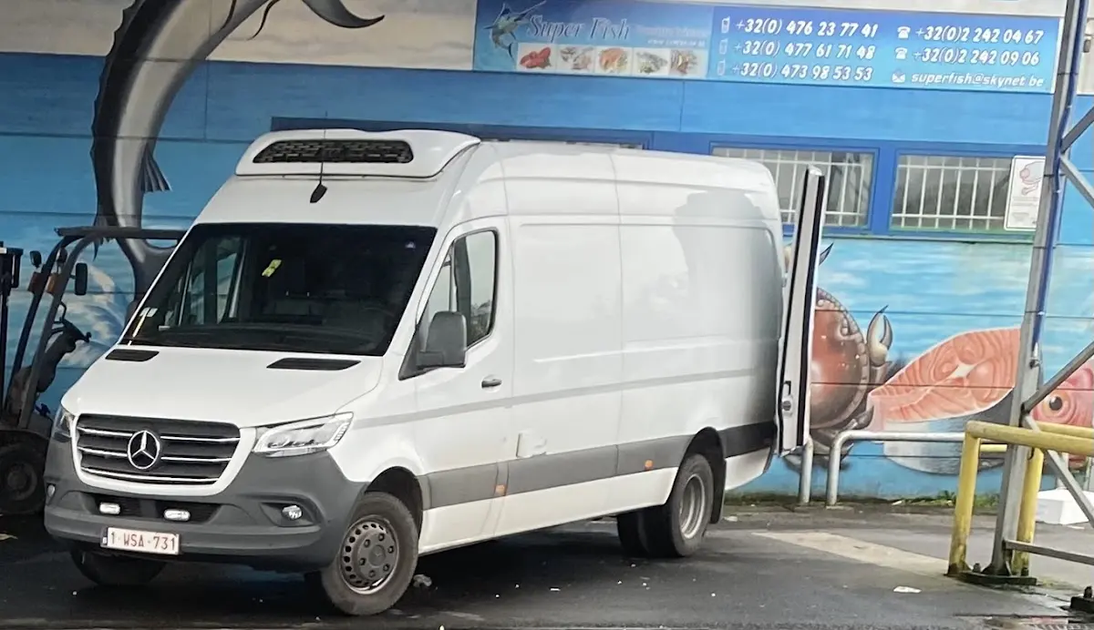 Super-Fish, Bruxelles
