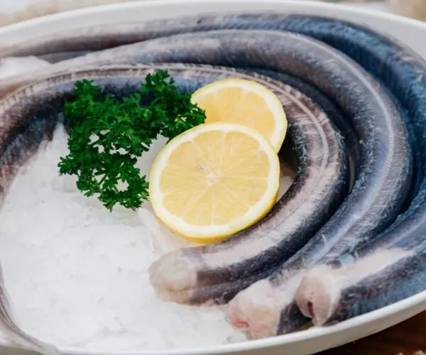Iso Pesca Grossiste Poissons et fruits de mer, Anderlecht